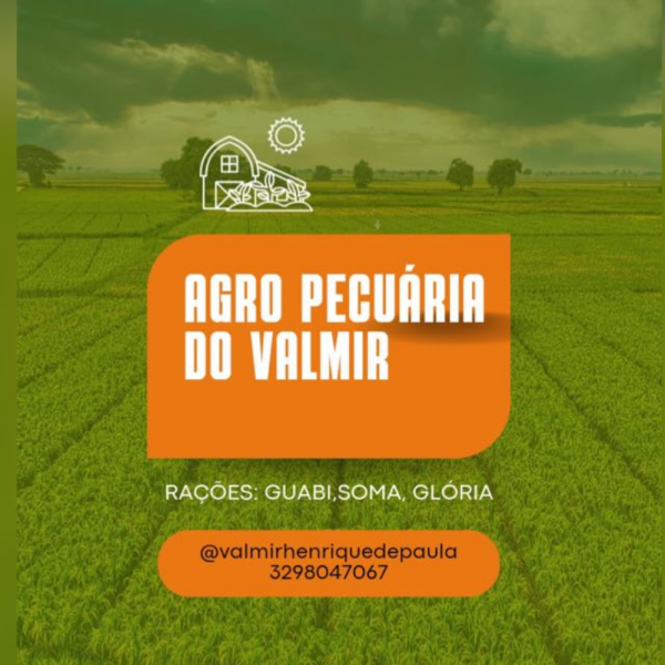 Agropecuária do Valmir
